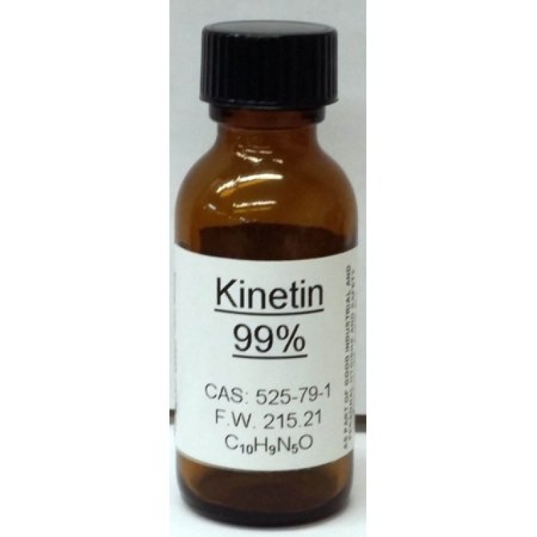 Kinetin 99% 5g