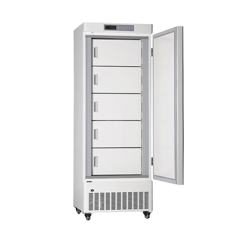 Laboratory Pharmacy Freezer -25°C 270L