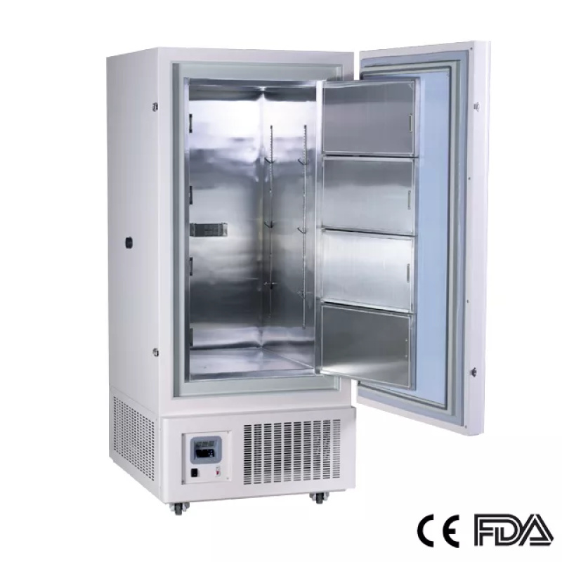 40 Upright Freezer.png 1